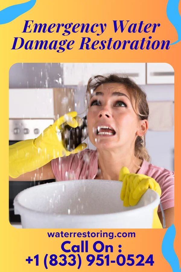 Emergency Water Damage Restoration in Montpelier, ID